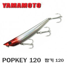 Popkey 120 / 팝키 120